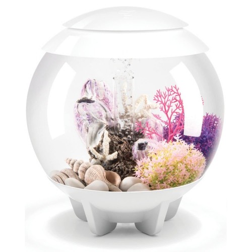 Gallon acrylic biorb halo - acrylic,