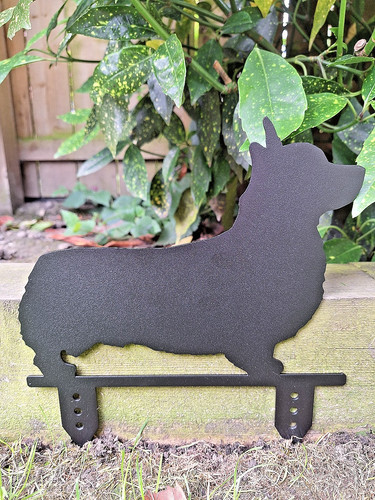 Welsh corgi dog garden - welsh,