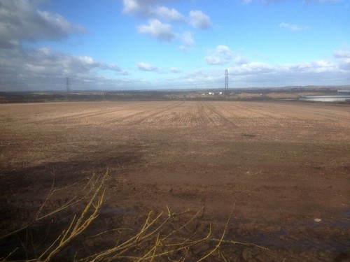 Photo 12x8 fields - 12x8,
