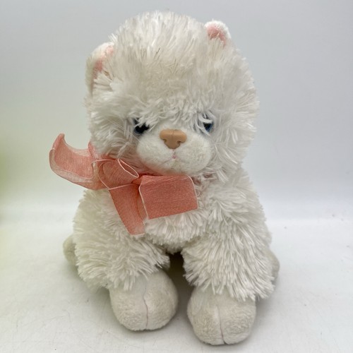 Destiny white cat kitten - ty,