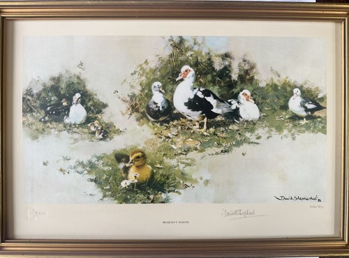 David shepherd hand signed - shepherd,