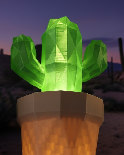 Polygonal cactus 3d - polygonal,