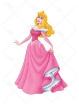 Aurora Princess Edible Cake