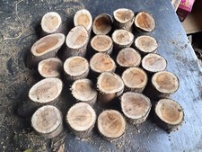 Yew Wood,small Wood Slices, X30,yew Slices ,x30. 