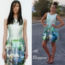 A128 ZARA STUNNING DRESS TULIP FISH PRINT V-BACK AQUARIUM