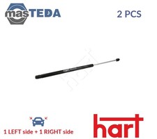 809 836 TAILGATE BOOT STRUTS