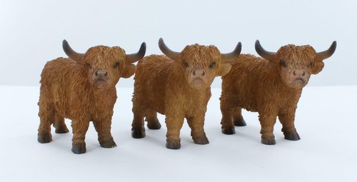 Vivid arts highland - highland, cattle