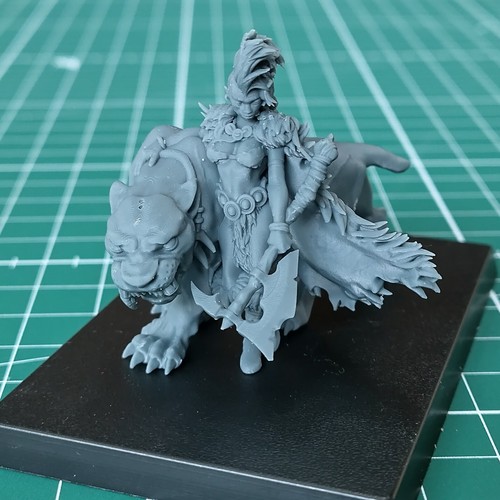 Avatars war barbarian - avatars,