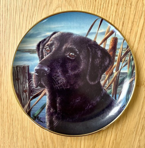 Black labrador man best - black, ’man’s