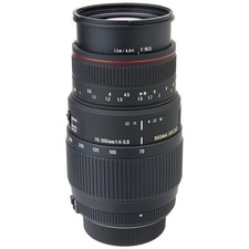The Sigma 70-300mm f/4-5.6 DG Macro for Nikon (AF-D) lens - EXCELLENT
