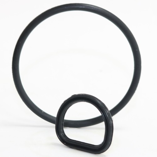 Gasket seal crankcase oil - seal,