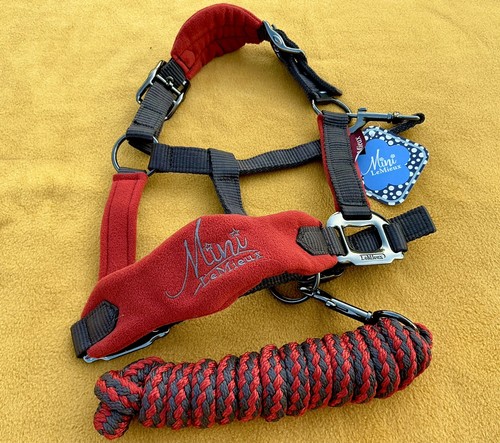 Brand new lemieux - brand,