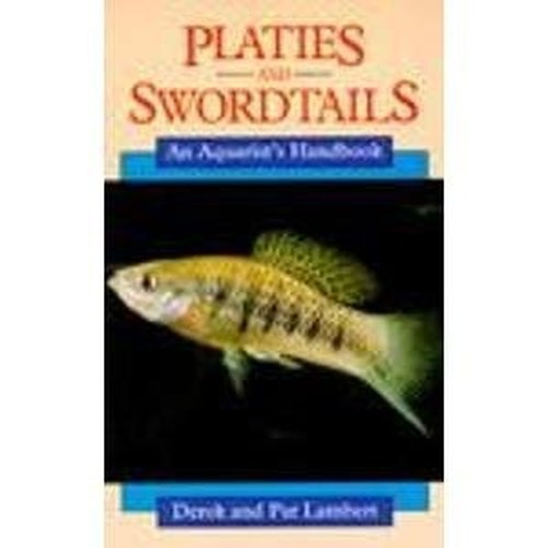 Platies and swordtails - platies, an