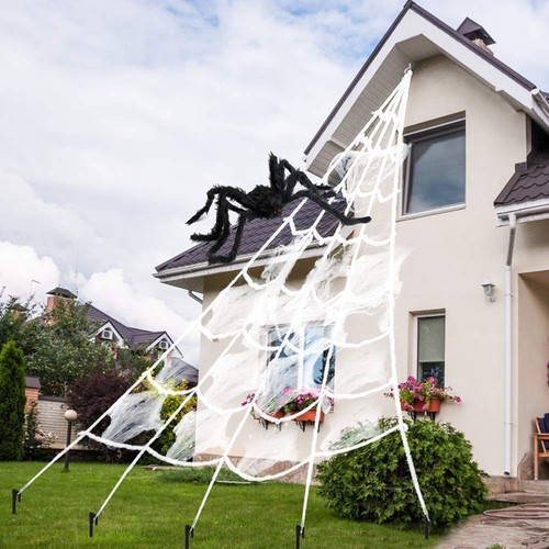 Halloween spider web - spider, giant