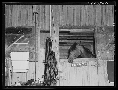 Photo rutland fair vermont - fair,