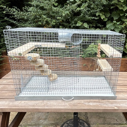 Thickets house chinchilla - , cage
