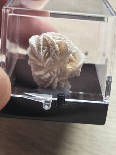 Desert rose crystal specimen - rose,