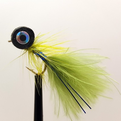 Blue flash damsel - x,