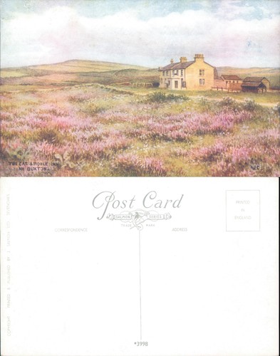 The cat fiddle inn - cat,