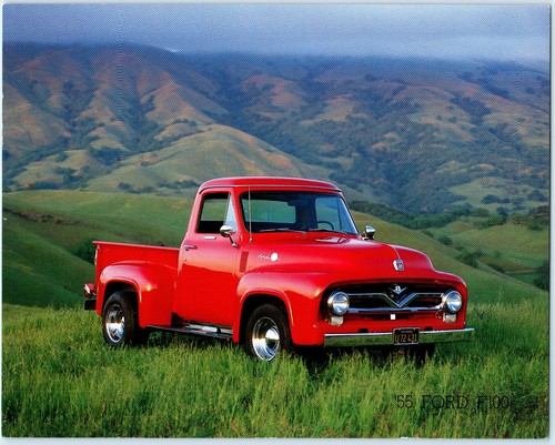 1955 ford f100 - f100, original
