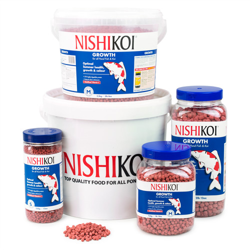 Nishikoi growth pond fish - pond, food