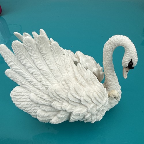 Leonardo collection swan and - a,