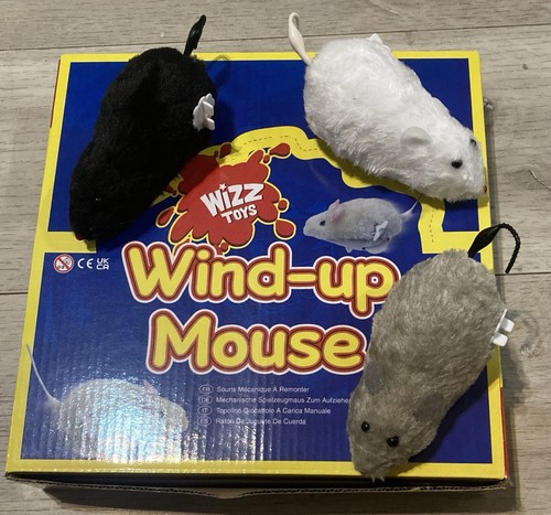Cat kitten play wind - 1,