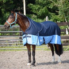 Lightweight Turnout Horse Rug
