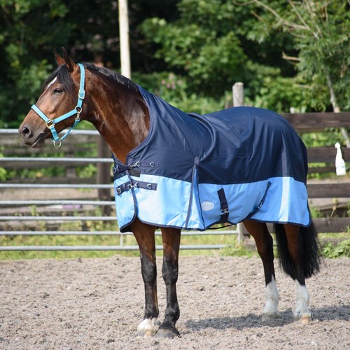 Lightweight turnout horse rug - turnout,