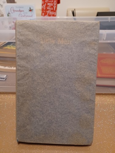 Little men louisa alcott - men,