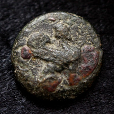 Greek Sphinx Perge Pamphylia