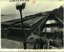 1980 Press Photo Hundreds of