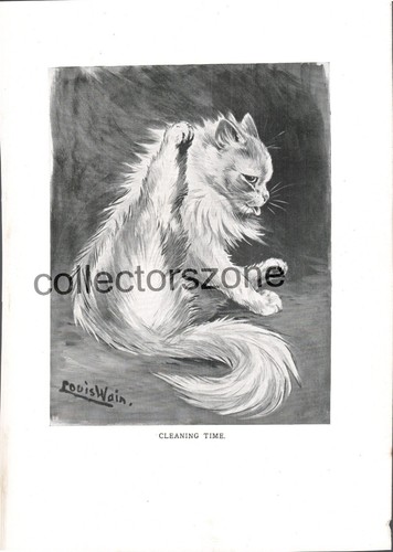 Louis wain book - louis, cat