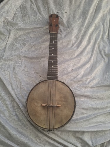 Vintage 1920s dulcetta banjo - vintage, 'dulcetta'