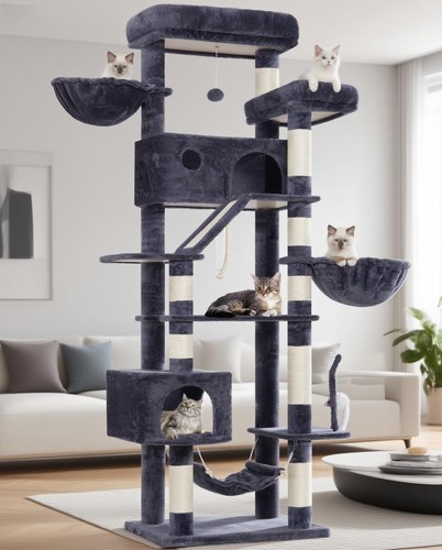 200cm tall cat - tall, tree