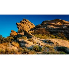 Reptile Tank Background