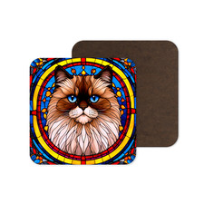 Cute Himalayan Cat Kitten