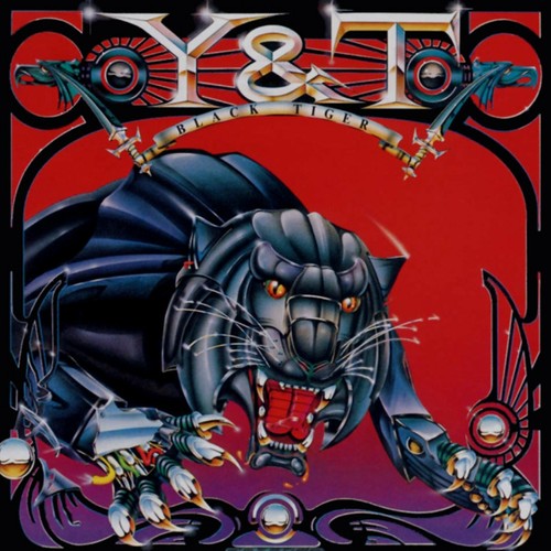 Black tiger banner 2x2 - black,