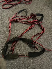 Used Red And Black Nylon Pony Harness Songs Of Wear Pictured