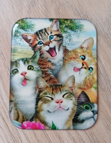 Fun quirky cat - &, magnet