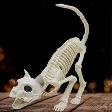 Cat Skeleton Statue Animal