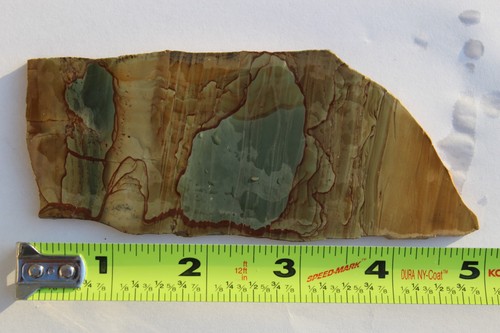Owyhee picture jasper slab - picture,