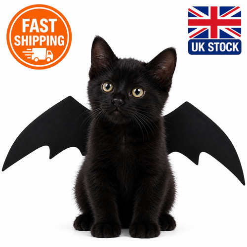 Pet cat dog bat - cat, wings