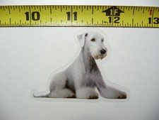 Bedlington terrier dog small - bedlington,