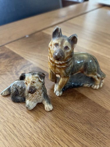 Wade alsatian dog - wade, and