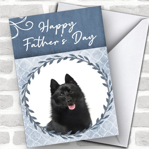Schipperke dog traditional - schipperke,