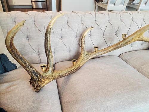 Handcrafted elk horn - elk,