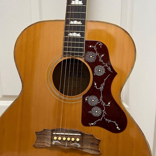 Egima 250n acoustic guitar - egima,