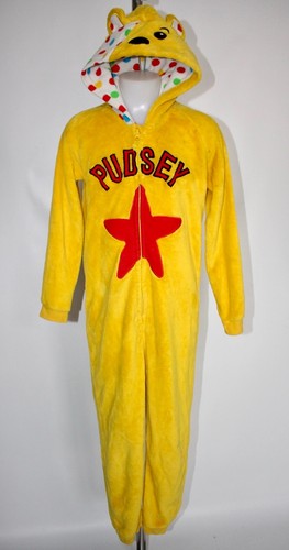 Pudsey bear costume - pudsey,