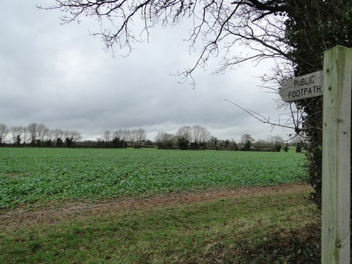 Photo 6x4 undefined footpath - photo,